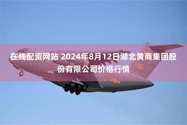 在线配资网站 2024年8月12日湖北黄商集团股份有限公司价格行情