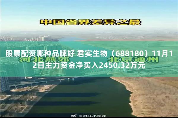 股票配资哪种品牌好 君实生物（688180）11月12日主力资金净买入2450.32万元
