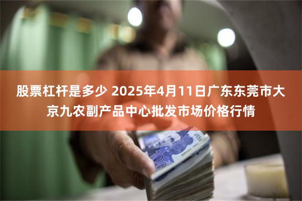 股票杠杆是多少 2025年4月11日广东东莞市大京九农副产品中心批发市场价格行情