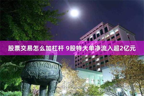 股票交易怎么加杠杆 9股特大单净流入超2亿元