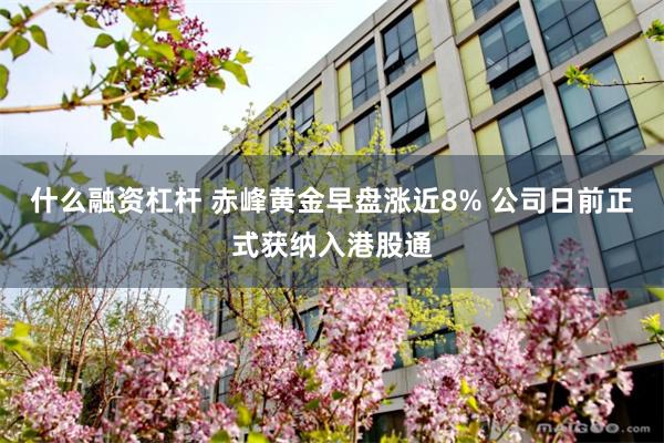 什么融资杠杆 赤峰黄金早盘涨近8% 公司日前正式获纳入港股通