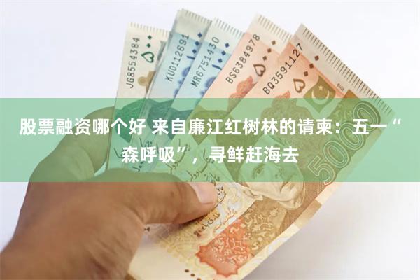 股票融资哪个好 来自廉江红树林的请柬：五一“森呼吸”，寻鲜赶海去