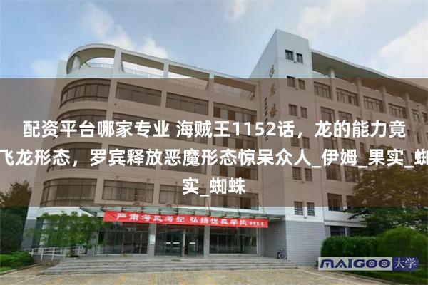 配资平台哪家专业 海贼王1152话，龙的能力竟是飞龙形态，罗宾释放恶魔形态惊呆众人_伊姆_果实_蜘蛛