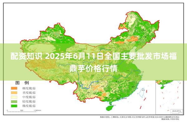 配资知识 2025年6月11日全国主要批发市场福鼎芋价格行情