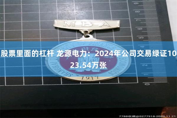 股票里面的杠杆 龙源电力：2024年公司交易绿证1023.54万张