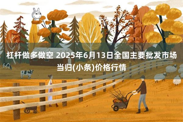 杠杆做多做空 2025年6月13日全国主要批发市场当归(小条)价格行情