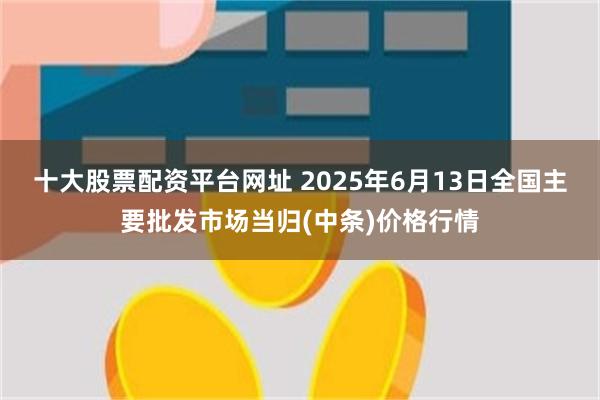 十大股票配资平台网址 2025年6月13日全国主要批发市场当归(中条)价格行情