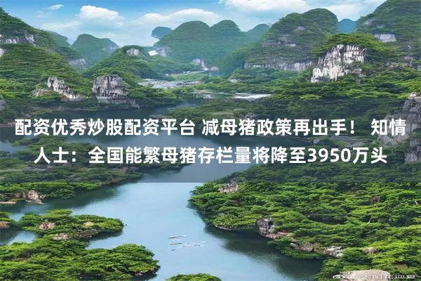 配资优秀炒股配资平台 减母猪政策再出手！ 知情人士：全国能繁母猪存栏量将降至3950万头