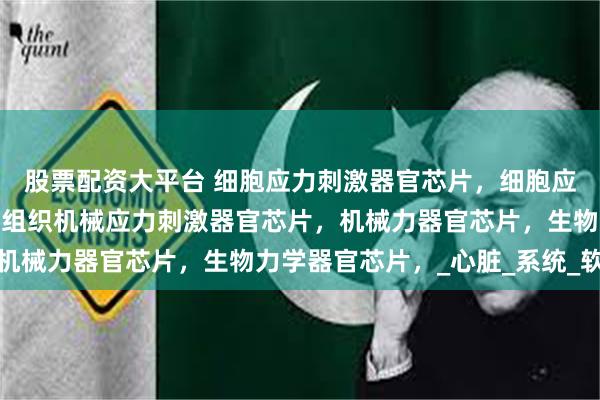 股票配资大平台 细胞应力刺激器官芯片，细胞应力加载器官芯片，细胞组织机械应力刺激器官芯片，机械力器官芯片，生物力学器官芯片，_心脏_系统_软骨