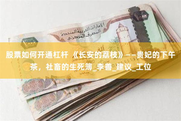 股票如何开通杠杆 《长安的荔枝》——贵妃的下午茶，社畜的生死簿_李善_建议_工位