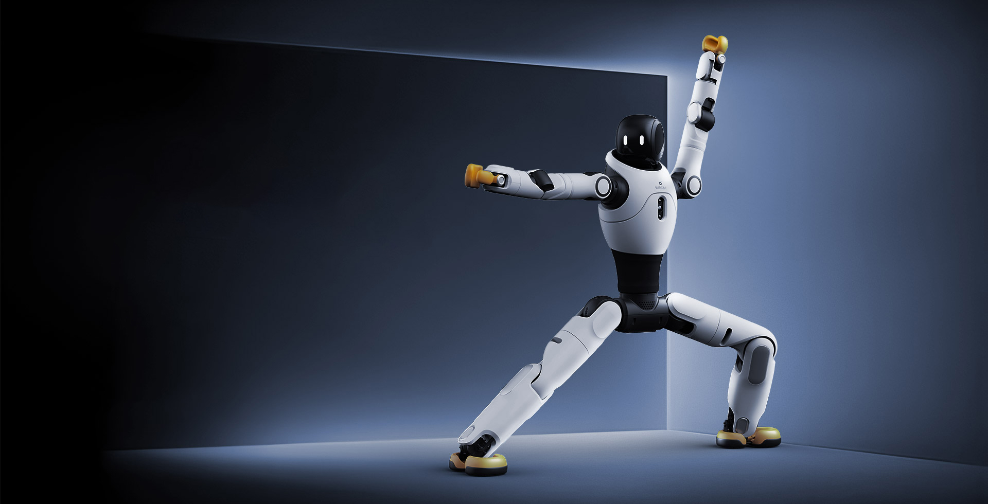 星空(中国)xingkong灵犀 X2