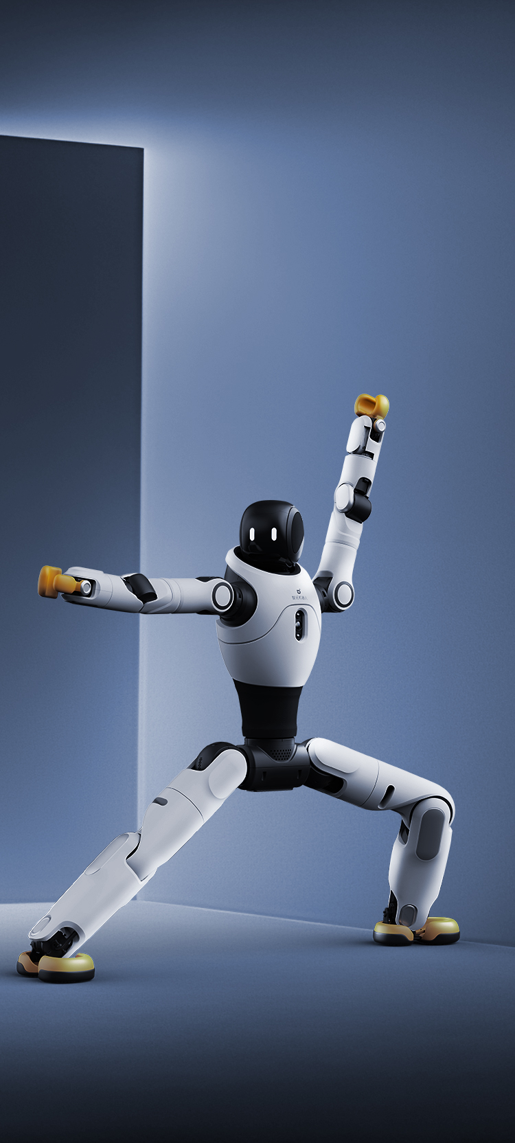 星空(中国)xingkong灵犀 X2